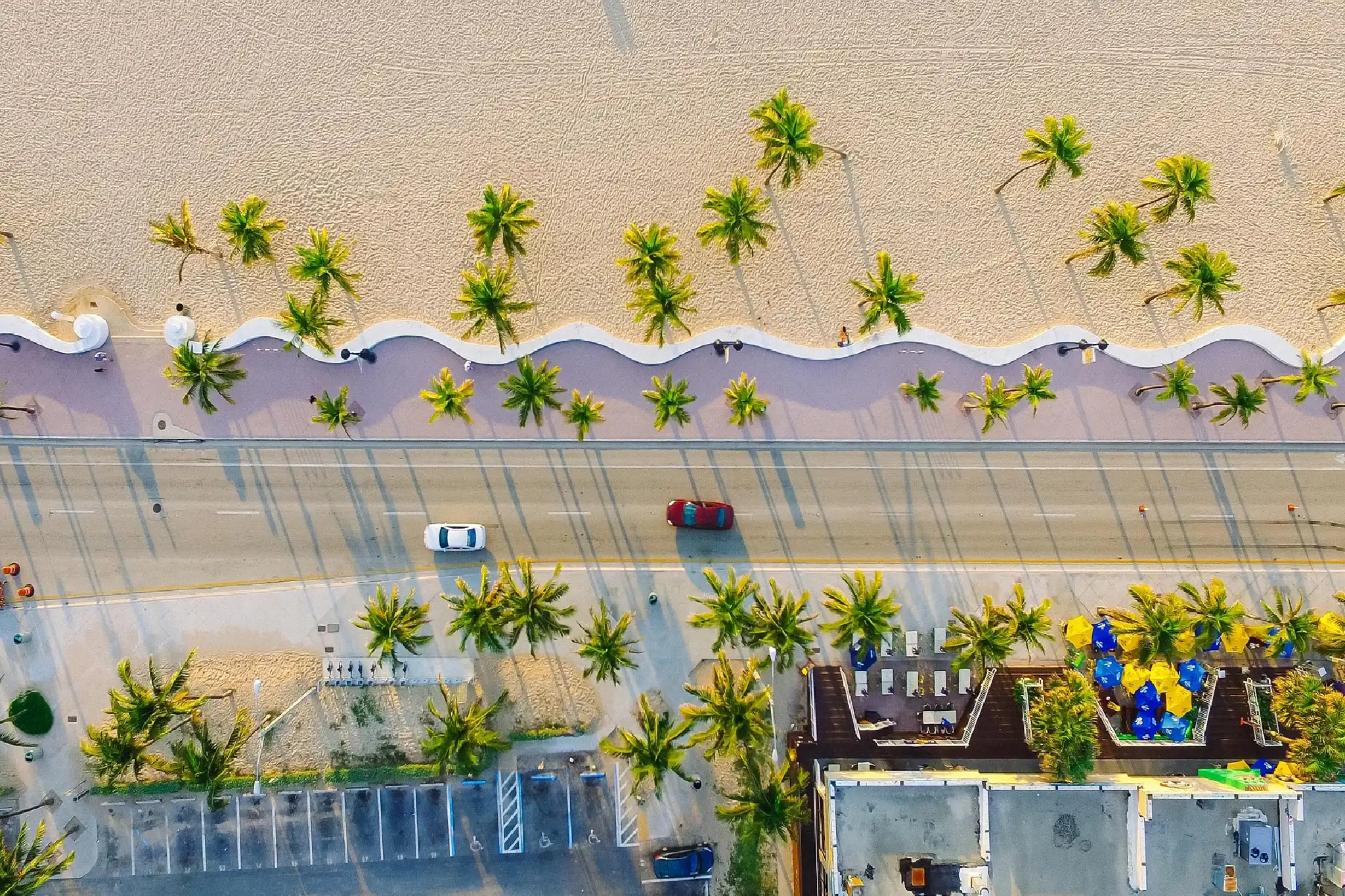 Aerial view of a coastal road lined with palm trees and parked cars.