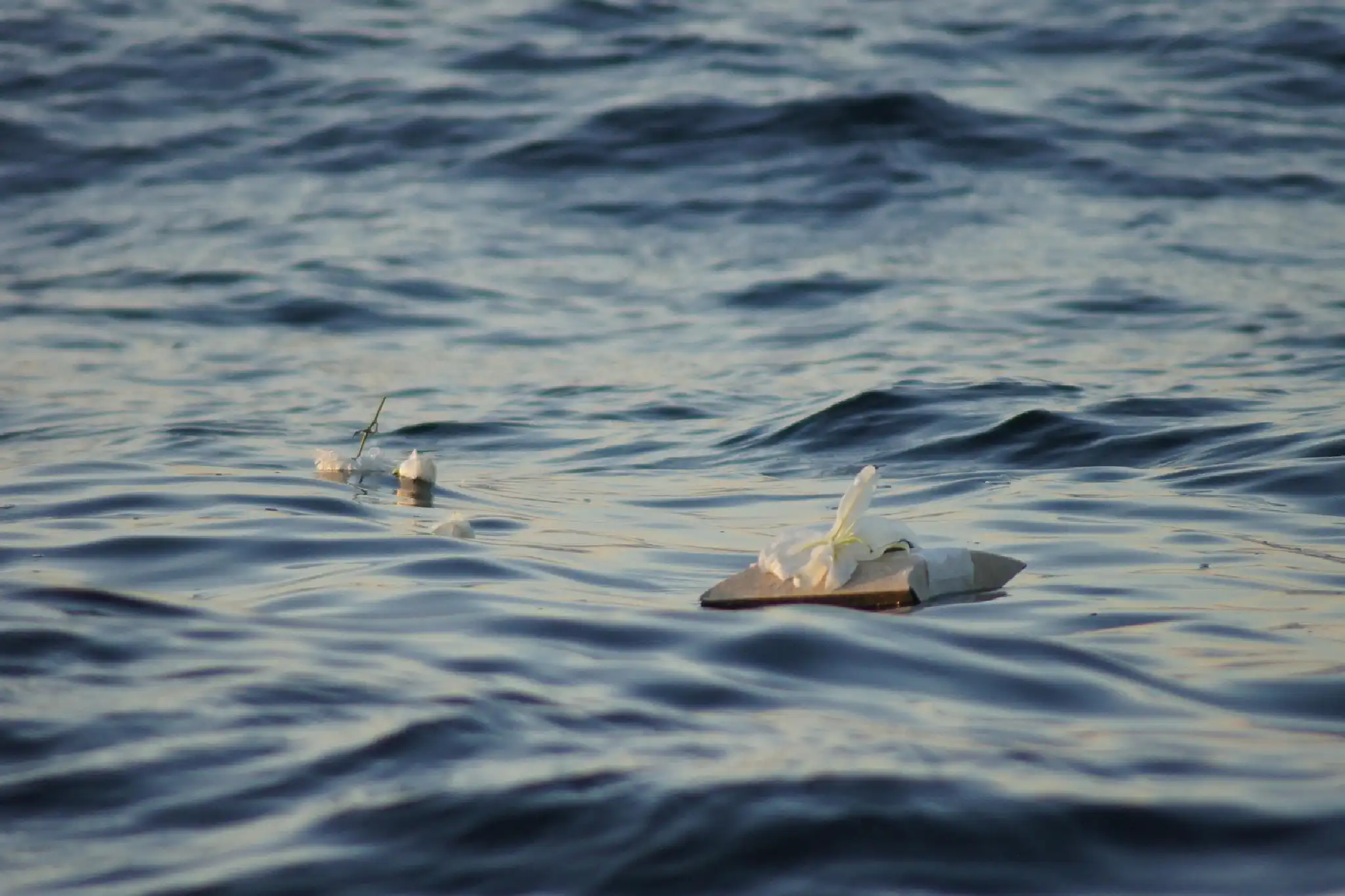 A seagull gliding over choppy ocean waves during sunset.