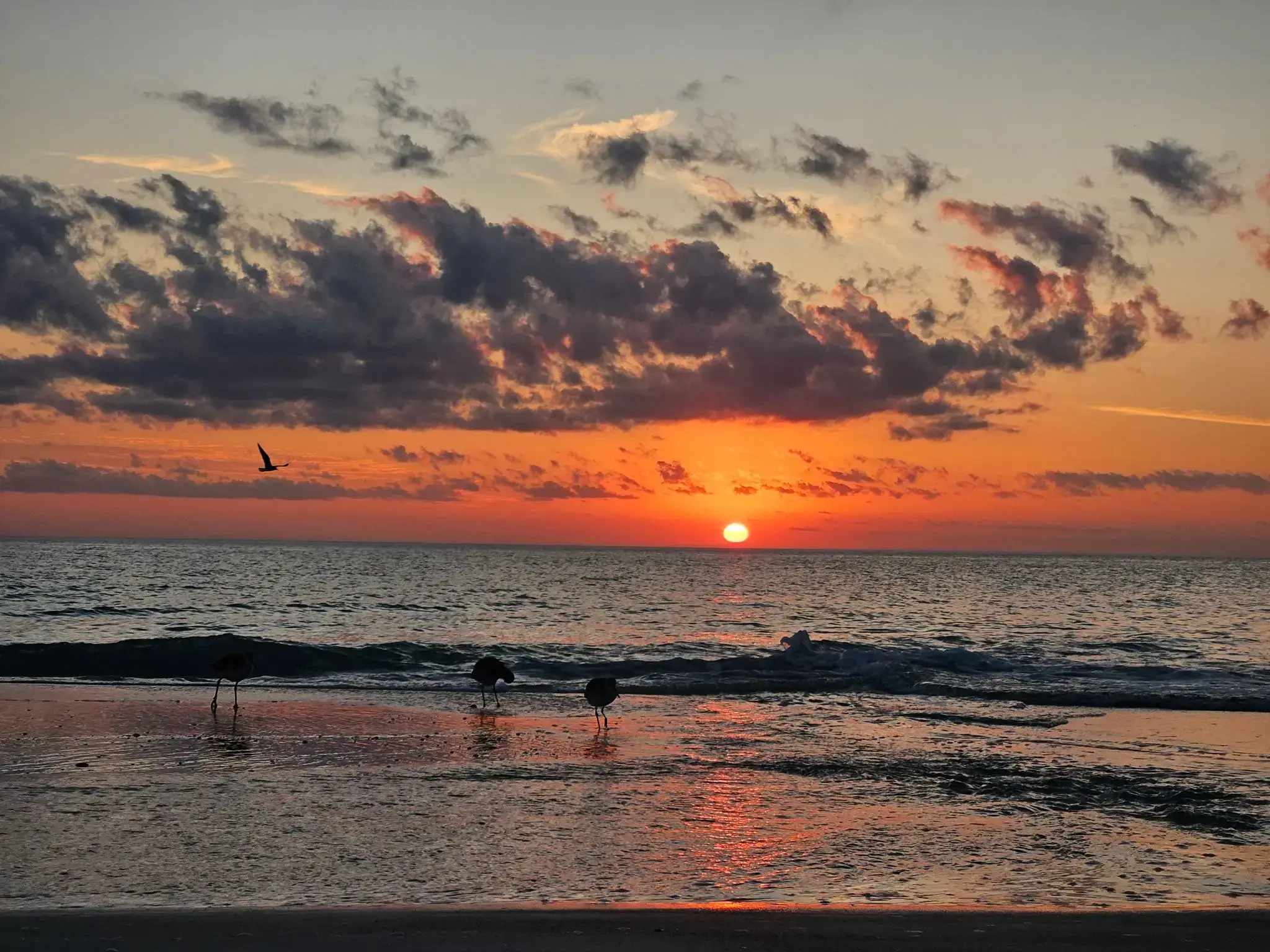 Sunset over the ocean with birds flying and waves crashing on the shore.