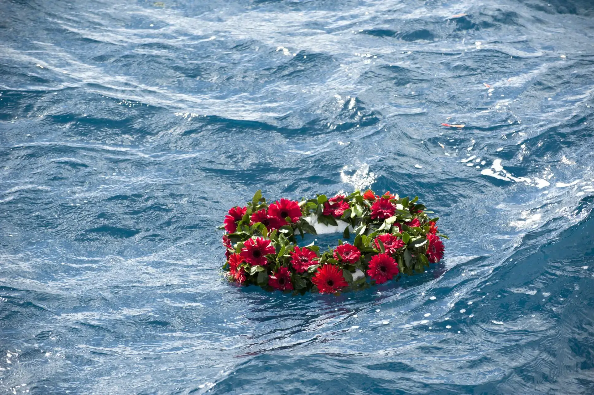 Wreath of red flowers floating on water