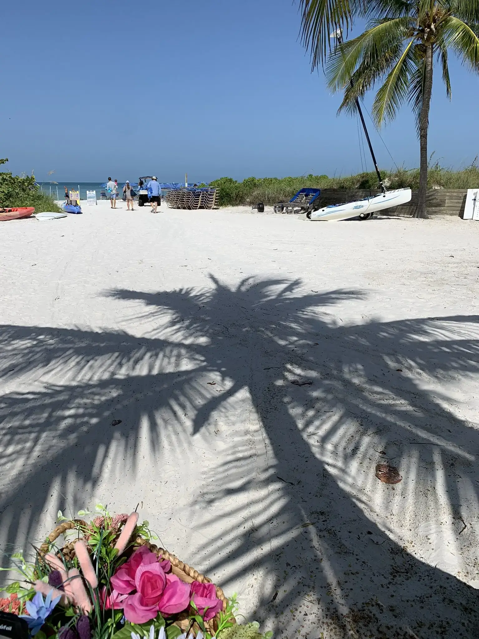 Palm tree shadows stretch across white sandy beach under clear sky.