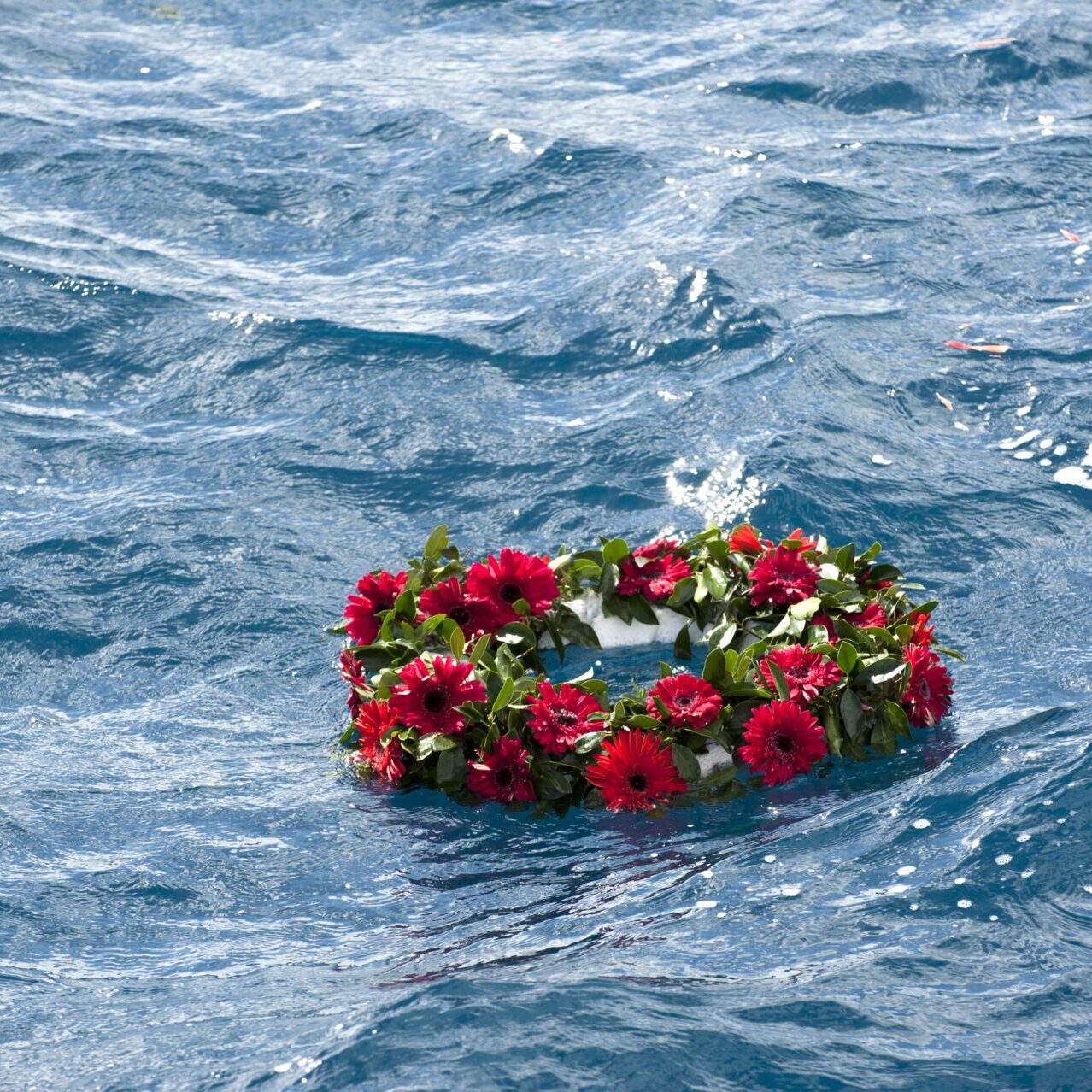 Wreath of red flowers floating on water